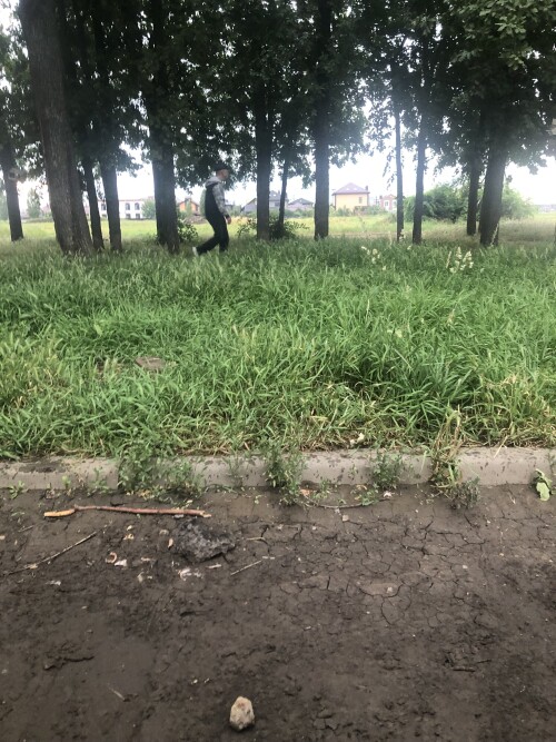 IMG_8808.jpeg