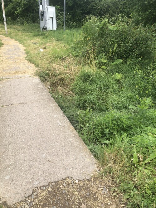 IMG_6616.jpeg