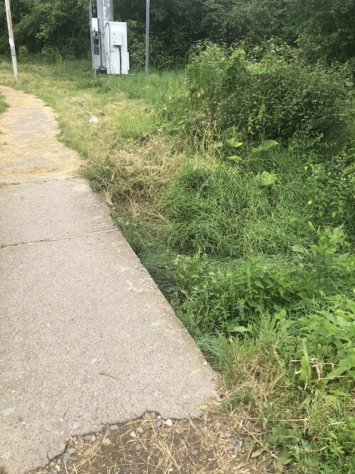 IMG_6617.jpeg