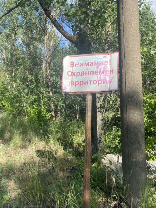 IMG_9485.jpeg