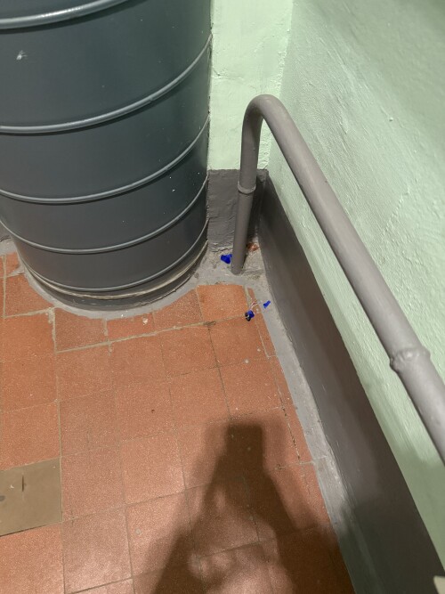 IMG_8883.jpeg