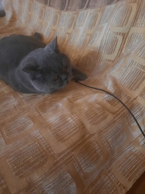 20250615_100117.jpg