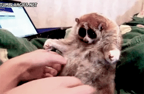 8505250f6176a2535d2a3f3307f70a06.gif