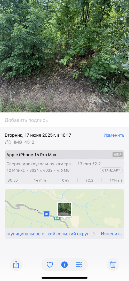 IMG_4585.png
