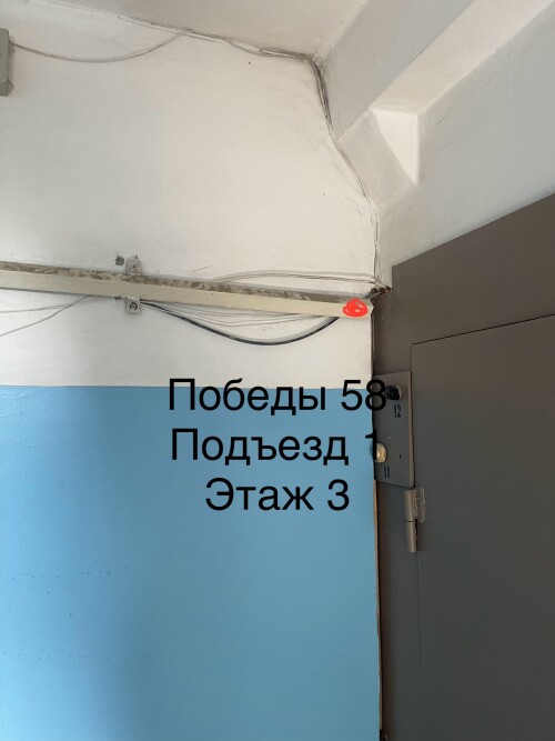 IMG_6778.jpeg