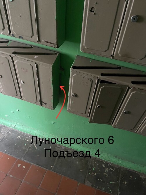 IMG_6779.jpeg
