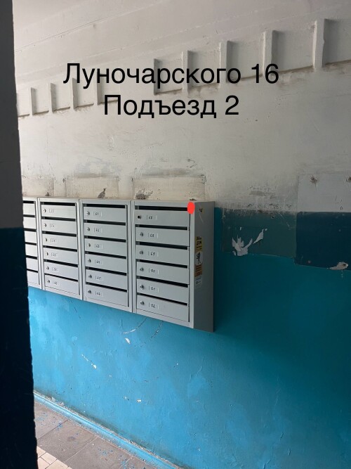IMG_6781.jpeg