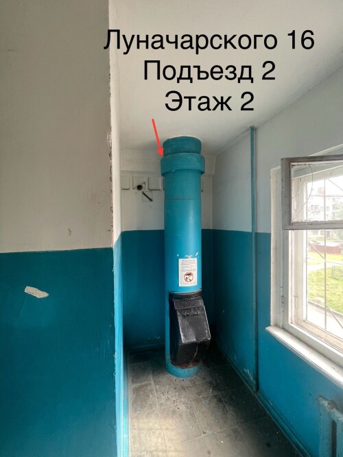 IMG_6782.jpeg