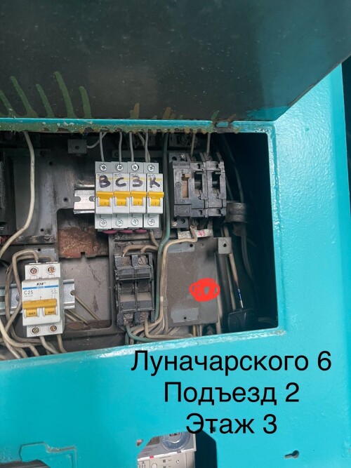IMG_6784.jpeg
