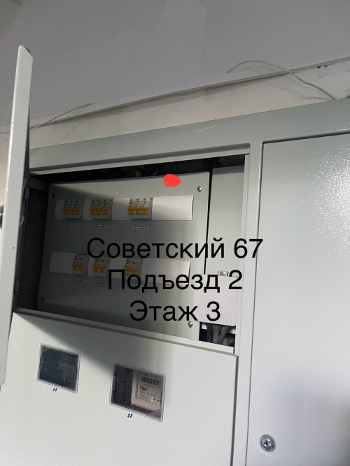 IMG_6785.jpeg