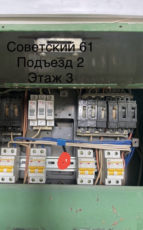 IMG_6786.jpeg