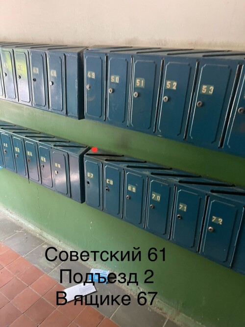 IMG_6787.jpeg