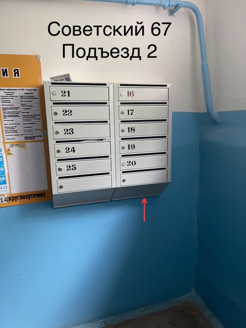 IMG_6788.jpeg
