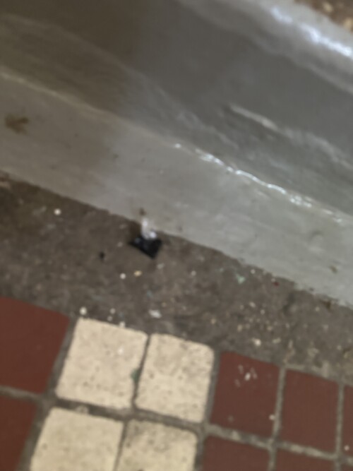 IMG_0548.jpeg