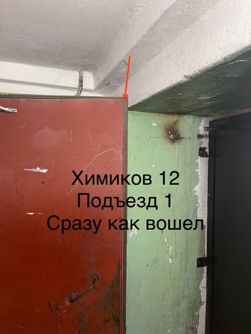 IMG_6797.jpeg