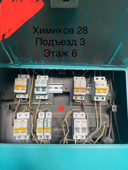 IMG_6801.jpeg
