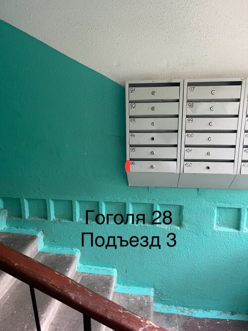 IMG_6803.jpeg