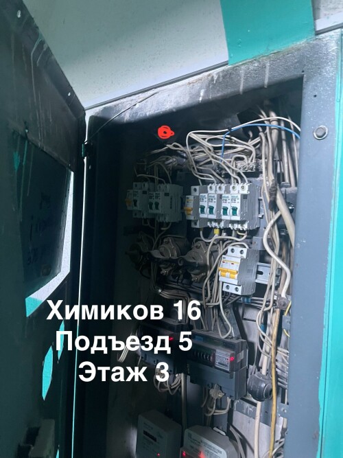 IMG_6804.jpeg