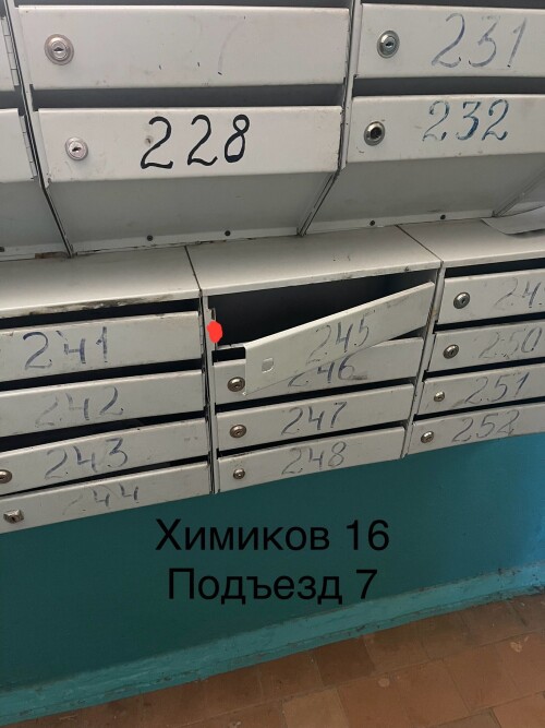 IMG_6805.jpeg