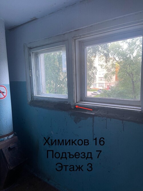 IMG_6807.jpeg