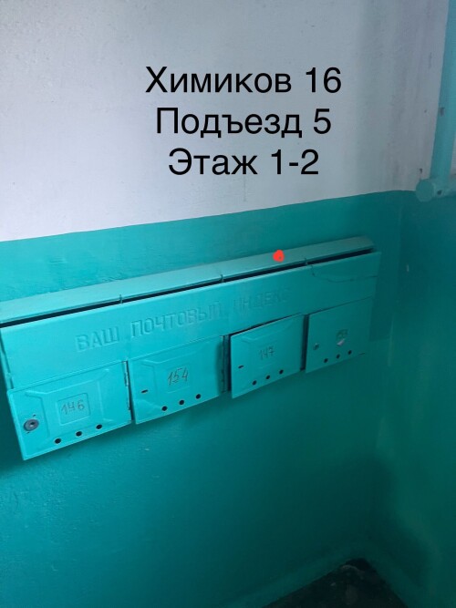 IMG_6808.jpeg