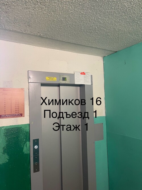 IMG_6809.jpeg