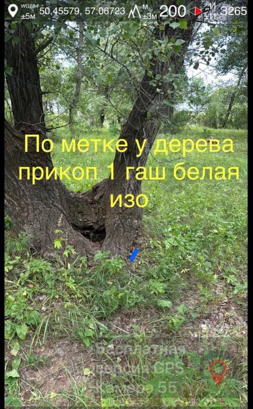 IMG_1742.jpeg