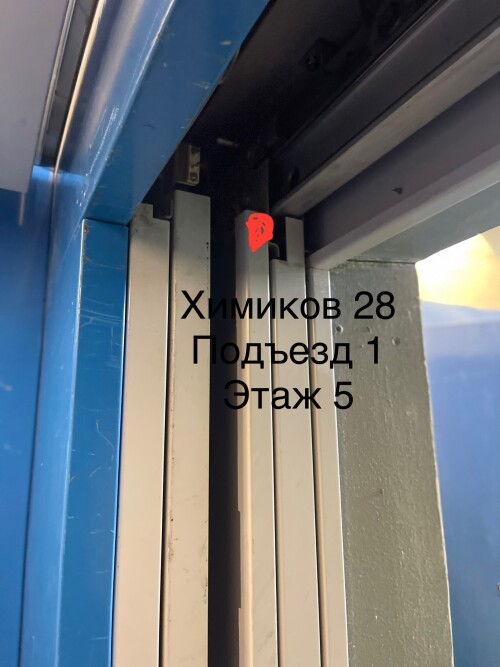 IMG_6816.jpeg