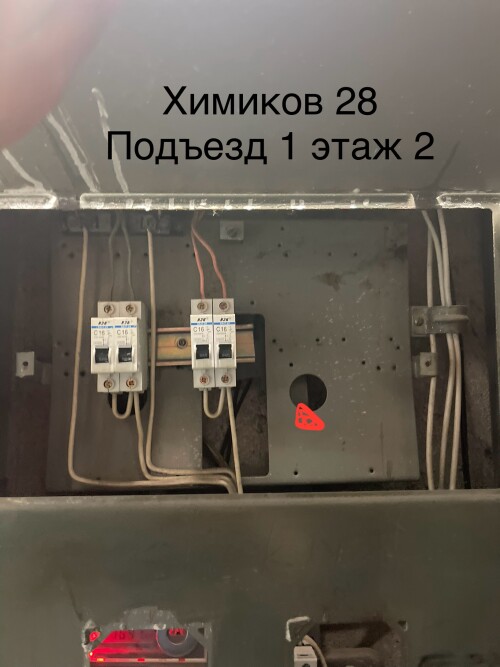 IMG_6817.jpeg