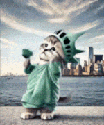 ezgif-3556062e8bcb2a.gif