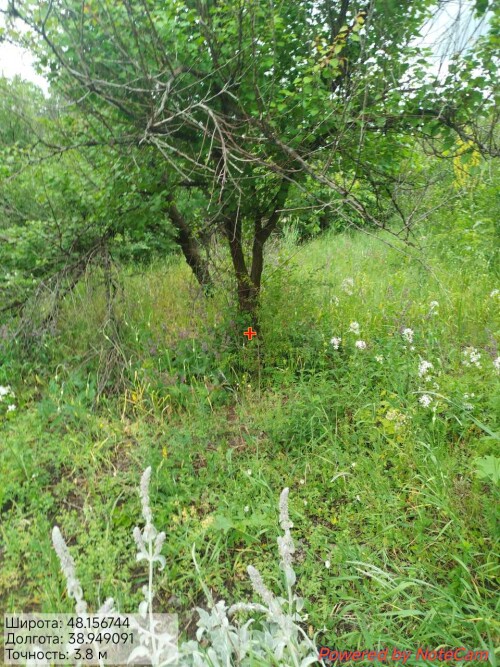 20250623_161026.jpg