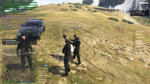 Majestic-RP-23.06.2025-14_17_37.png