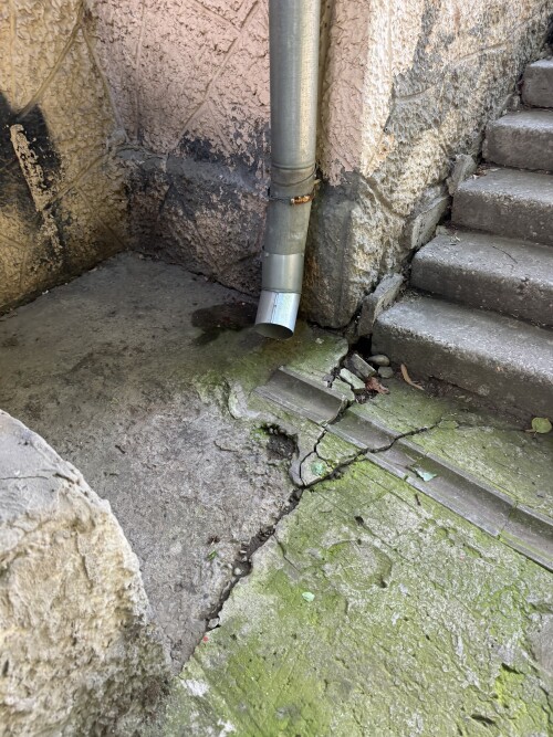 IMG_0426.jpeg