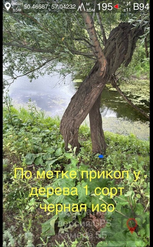 IMG_1770.jpeg