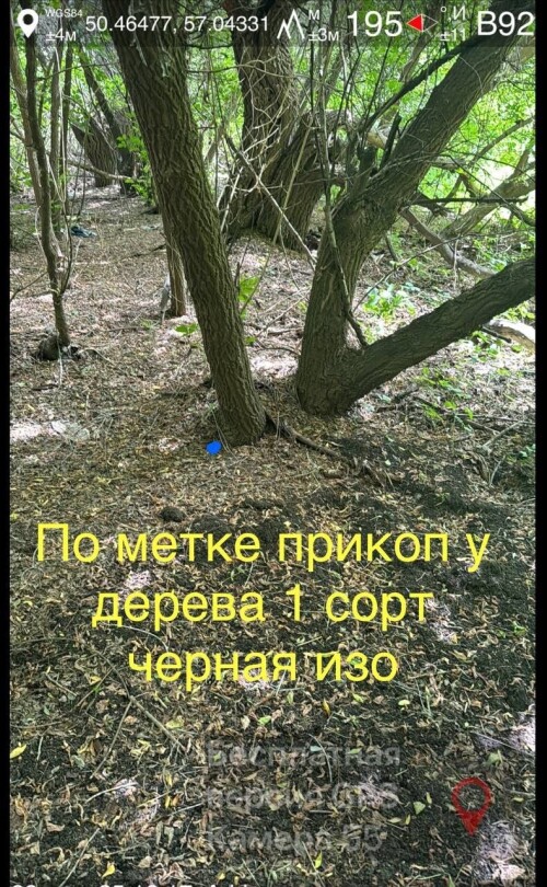 IMG_1771.jpeg