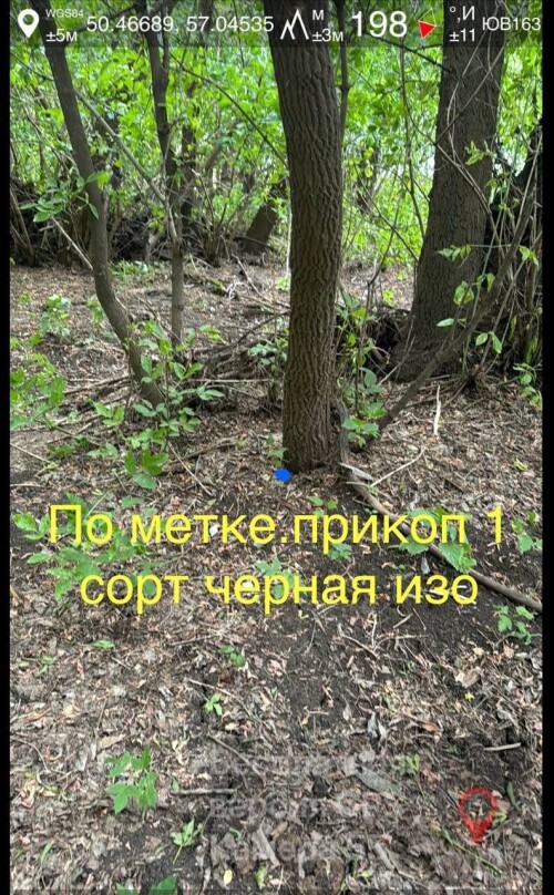IMG_1772.jpeg