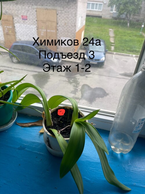 IMG_6844.jpeg