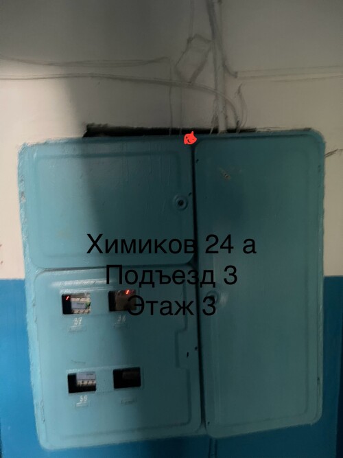 IMG_6845.jpeg