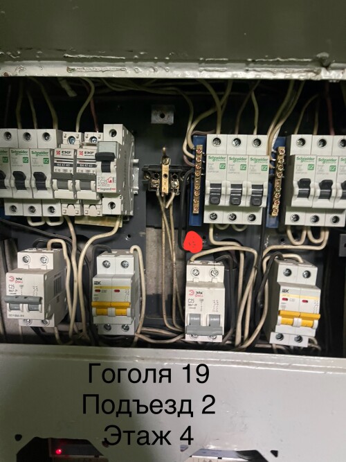 IMG_6850.jpeg