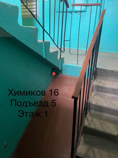 IMG_6853.jpeg