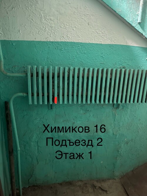 IMG_6854.jpeg