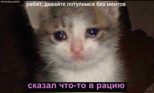 IMG_20250629_085655.jpg