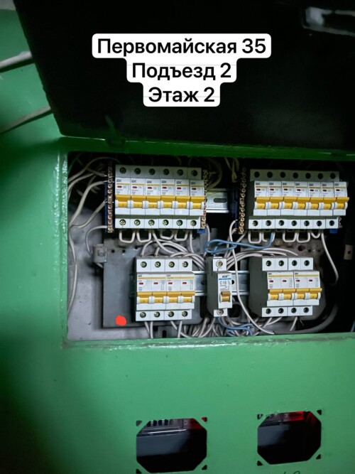 IMG_6867.jpeg