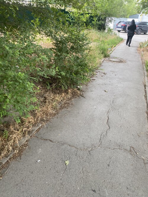 IMG_5027.jpeg