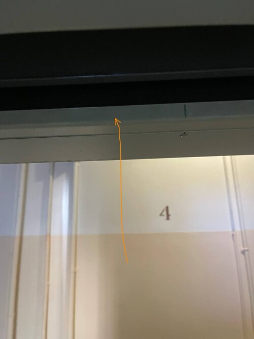 IMG_2254.jpeg