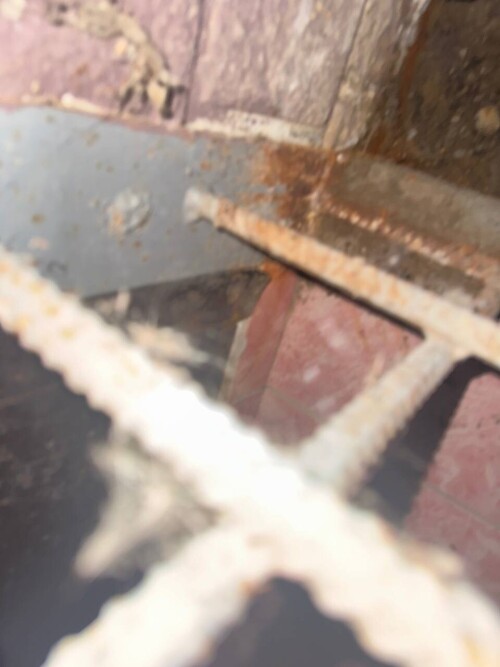 IMG_9591.jpeg