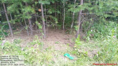 IMG_9710.jpeg