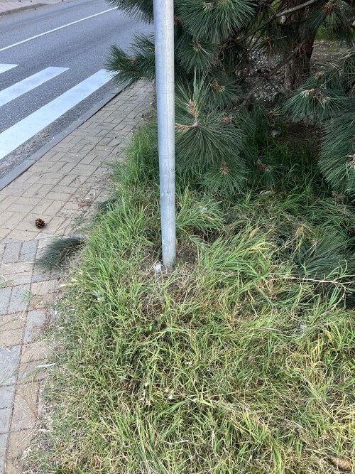 IMG_7512.jpeg