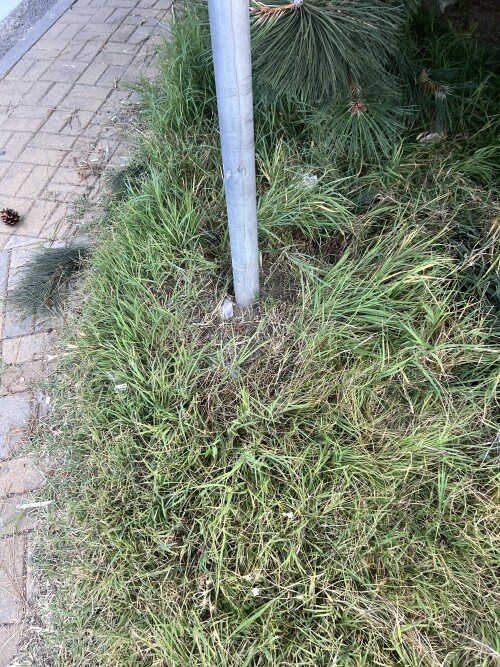 IMG_7513.jpeg