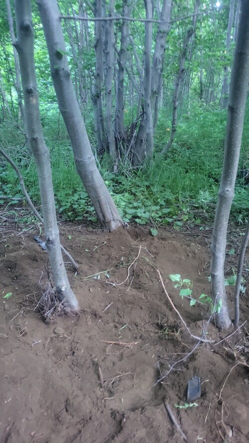 IMG-20250720-WA0007.jpeg